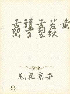 舌头舌苔黄腻中间有裂纹