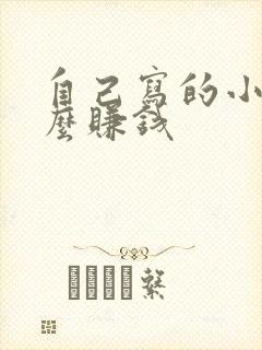 自己写的小说怎么赚钱封面