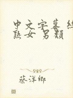 中文字幕 丝袜熟女 另类封面