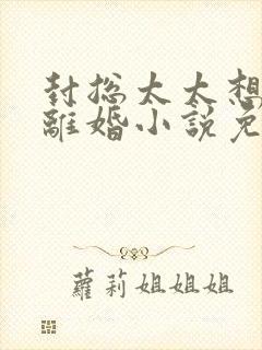 封总太太想跟你离婚小说免费阅读封面