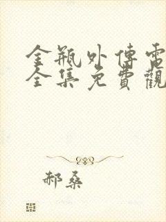 金瓶外传电视剧全集免费观看网站封面