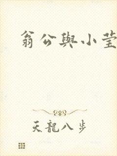 翁公与小莹封面