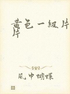 黄色一级片国产片