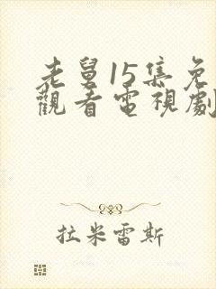 老舅15集免费观看电视剧