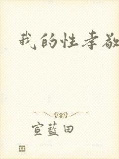 我的性孝敬封面