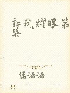 许我耀眼第十四集