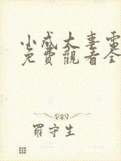 小成大事电视剧免费观看全集高清版封面