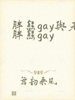 胖熊gay与老胖熊gay