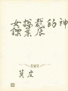 女总裁的神级保镖叶辰封面