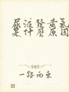 尿液发黄气味重是什么原因