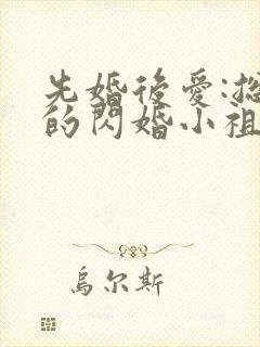 先婚后爱:总裁的闪婚小祖宗封面