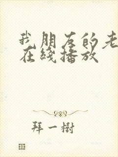 我朋友的老婆2在线播放