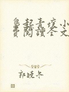 枭起青壤小说免费阅读全文无删减