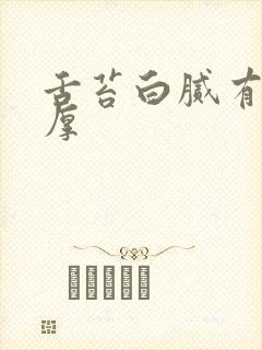 舌苔白腻有齿痕厚