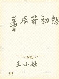 叶辰萧初然无弹窗