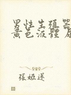 男性生殖器官流黄色液体 尿疼