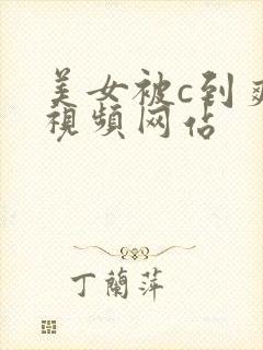 美女被c到爽哭视频网站