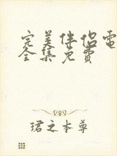 完美伴侣电视剧全集免费