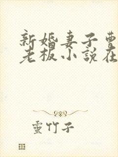 新婚妻子曹仁菜老板小说在线阅读封面