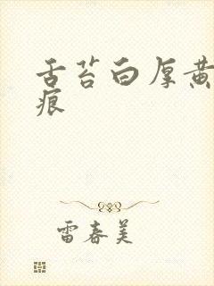 舌苔白厚黄有齿痕