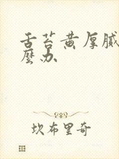 舌苔黄厚腻 怎么办封面