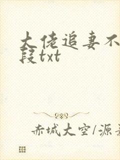 大佬追妻不择手段txt