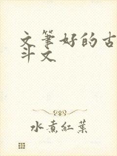 文笔好的古言宅斗文