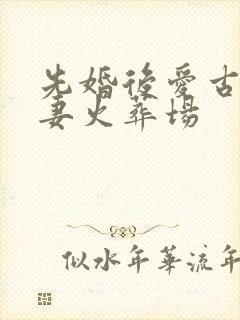 先婚后爱古言追妻火葬场