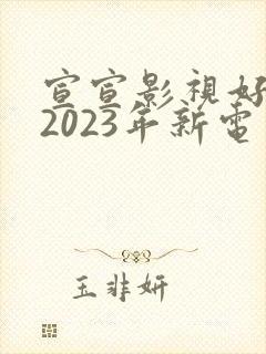 宣宣影视好看的2023年新电视剧网址