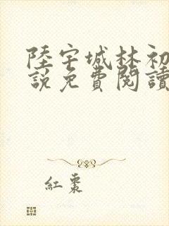 陆宇城林初韵小说免费阅读最新章节