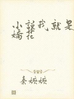 小说我就是如此娇花