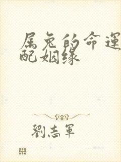 属兔的命运与婚配姻缘