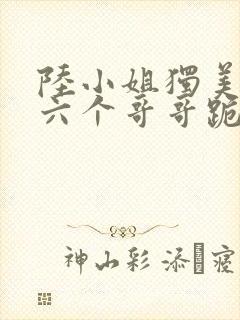 陆小姐独美后,六个哥哥跪求原谅 小说