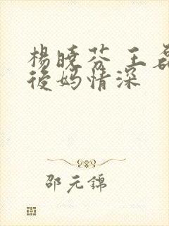 杨晓芬 王磊 后妈情深封面