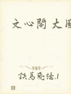 文心阁 大团结封面