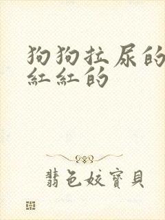 狗狗拉尿的器官红红的封面