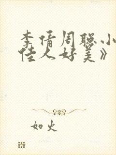 李倩周聪小说《佳人好美》封面