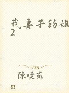 我妻子的姐姐 2