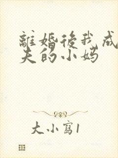 离婚后我成了前夫的小妈