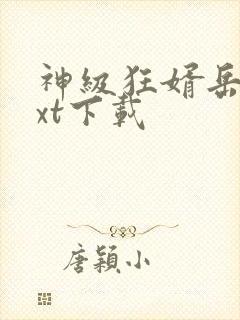 神级狂婿岳风txt下载