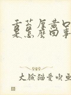 舌苔厚黄口气重是怎么回事