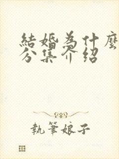 结婚为什么剧情分集介绍封面