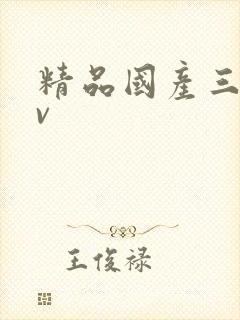 精品国产三级av