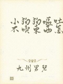 小狗狗呕吐拉稀不吃东西怎么办