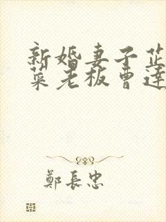 新婚妻子芷珊与菜老板曹达华小说