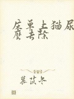 床单上猫尿味怎么去除