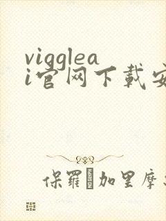 viggleai官网下载安卓