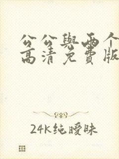 公公与两个媳妇高清免费版电视剧封面