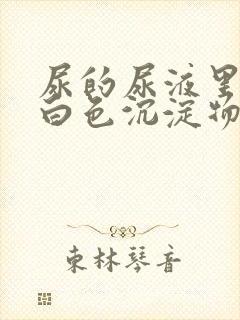 尿的尿液里面有白色沉淀物