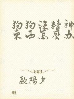 狗狗没精神不吃东西怎么办还呕吐